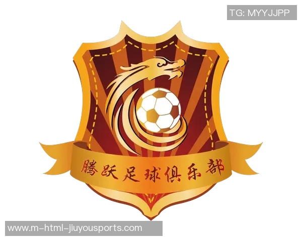 深入了解中国足球乙级联赛的历史发展与现状分析